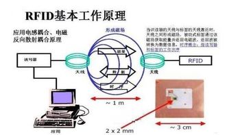 物聯網技術RFID證書防偽數據管理系統方案 信息系統集成與物聯網技術服務創新
