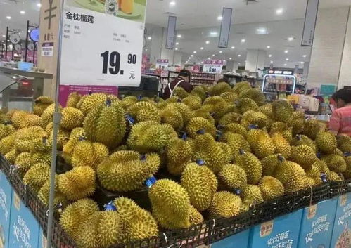 榴蓮價(jià)格腰斬，這趟“水果專列”立功了！