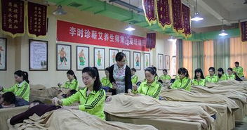 醫(yī)圣故里艾飄香 蘄艾產(chǎn)業(yè)成為縣域經(jīng)濟(jì)新引擎