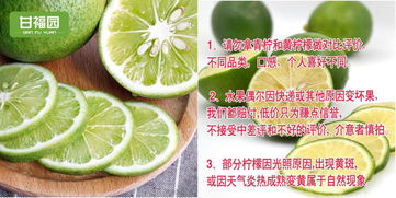 新手也能高點(diǎn)擊 蘄艾制品主圖設(shè)計(jì)實(shí)戰(zhàn)指南